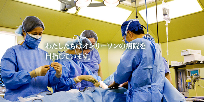 医療法人宝持会 池田病院